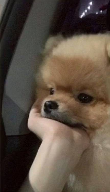 みかん