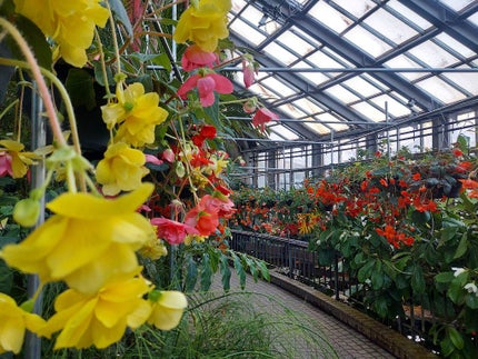 ぺん✨フォロバ100