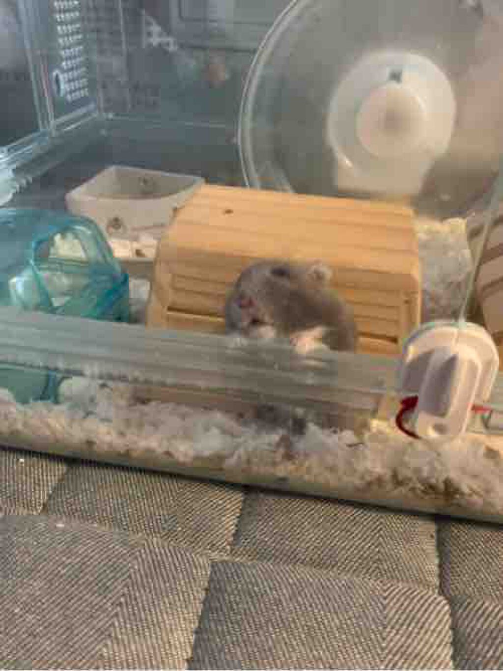 おにぎり太郎🍙