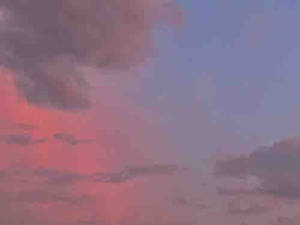 ぴよこ183♡ 毎日頑張る!!