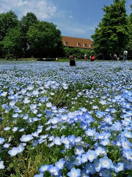 のあちゃ@フォロバ100%