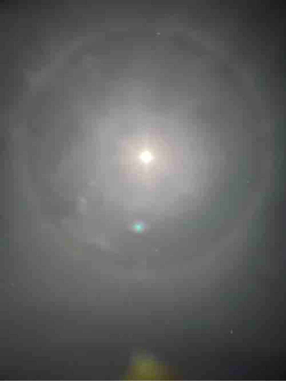  にゅん( இ﹏இ )