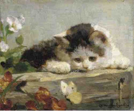 美薇🐈⬛