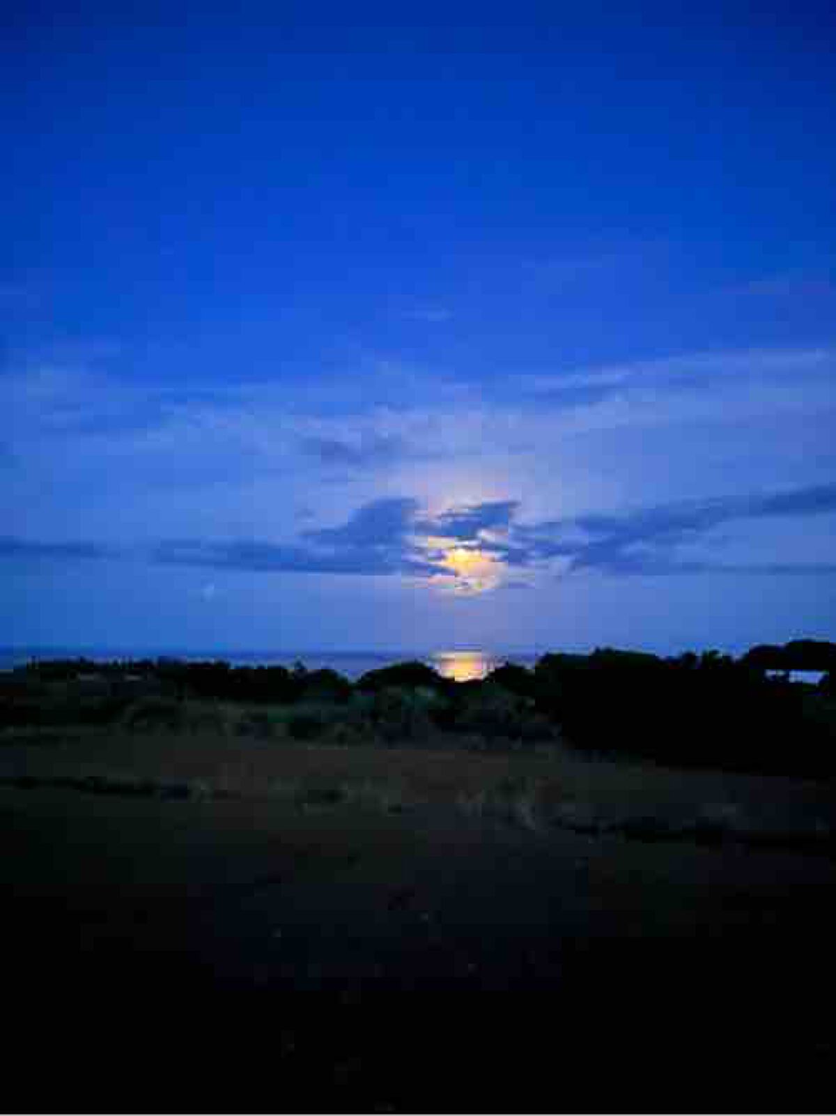 青のキャンパス