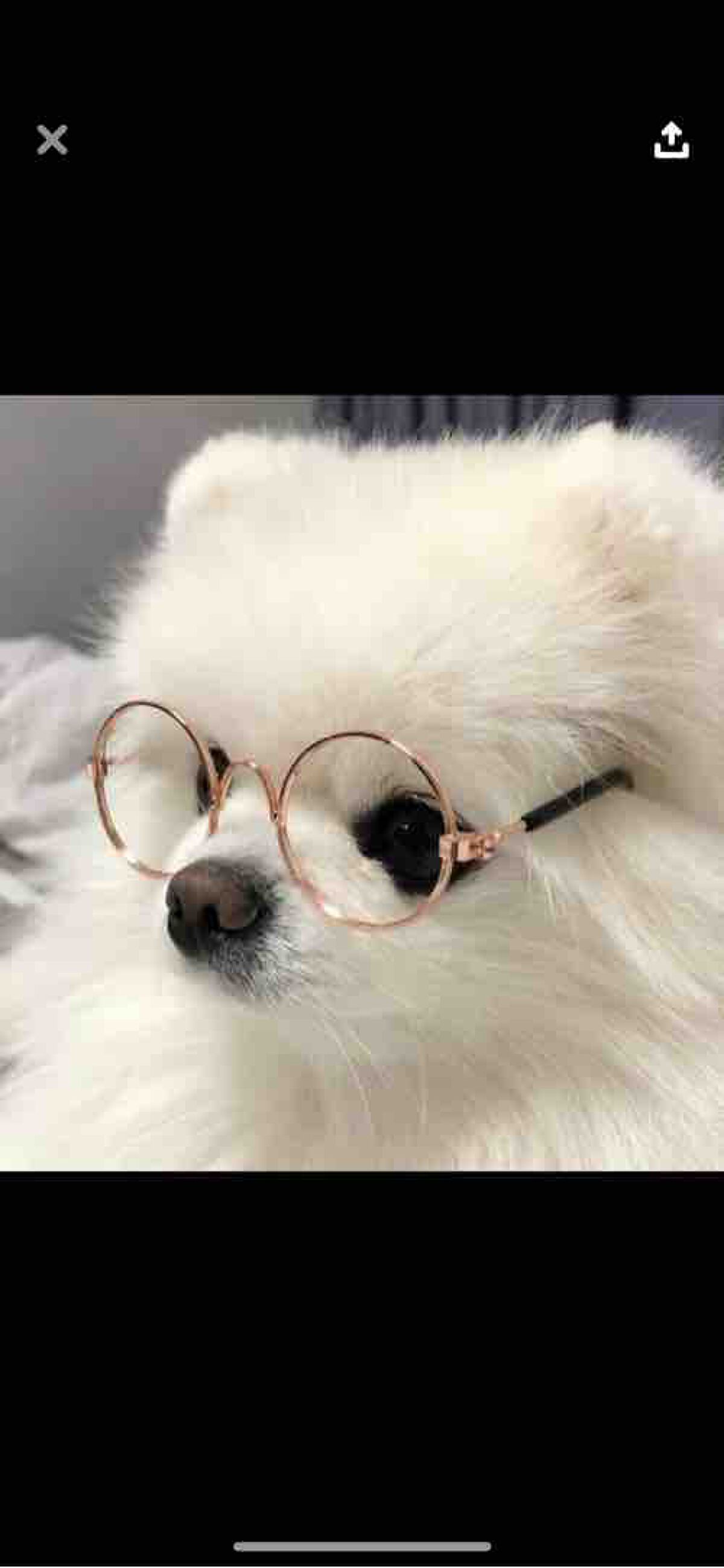 このん🤍🏹  ̖́-