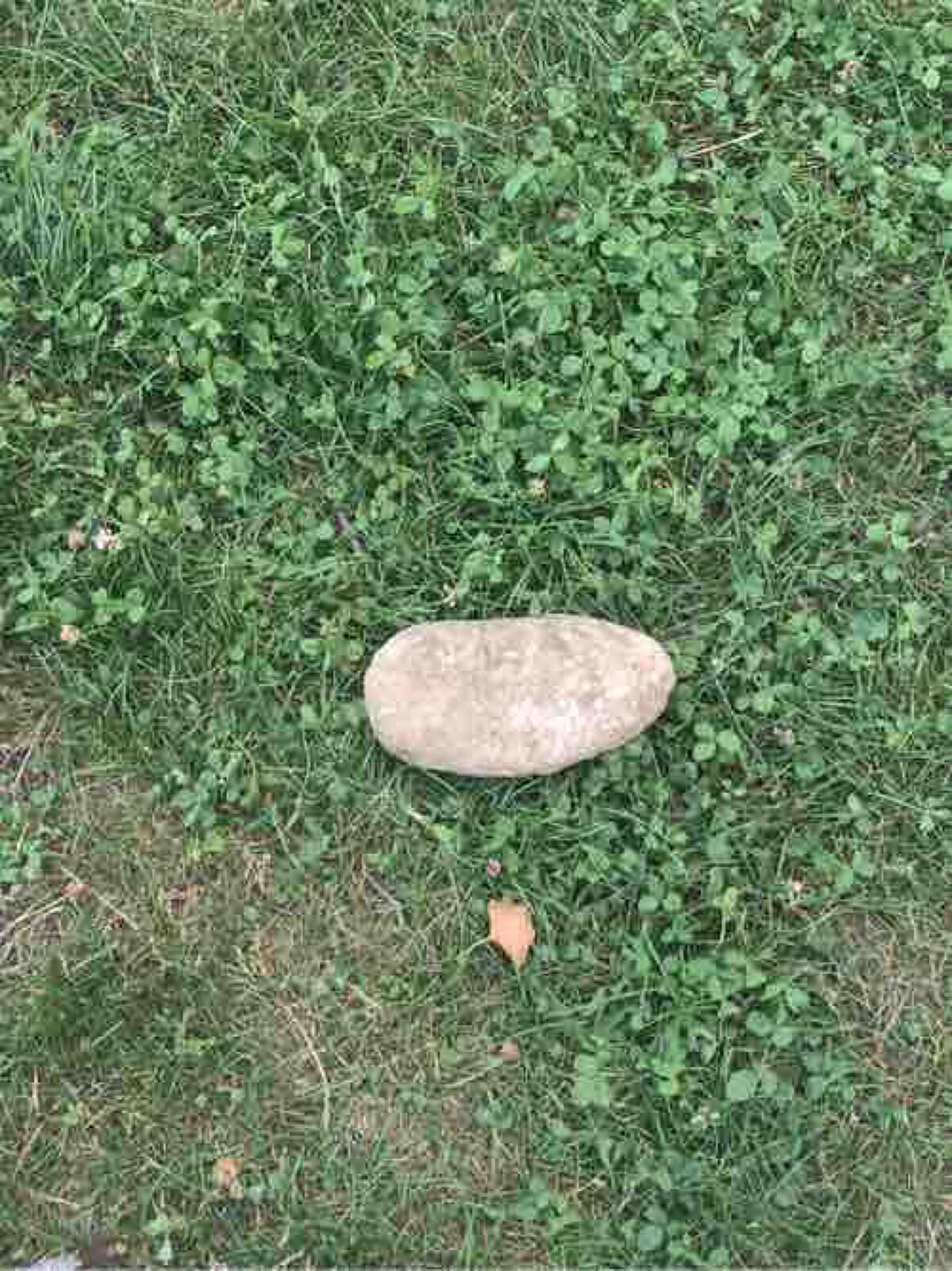 つららをもぎたい