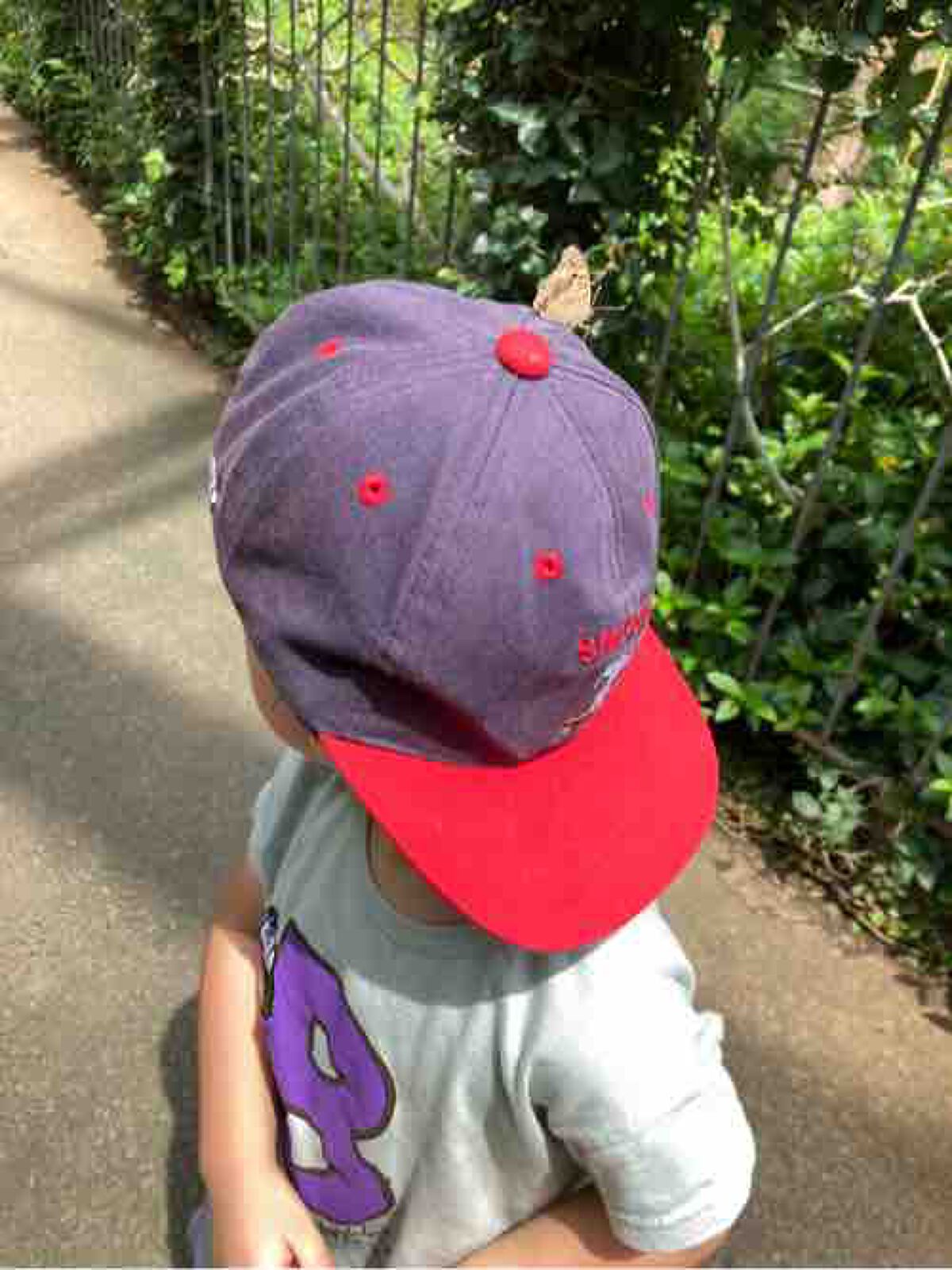 【試してみた】ソフト<ES>パクト/COVERMARK | LIPS