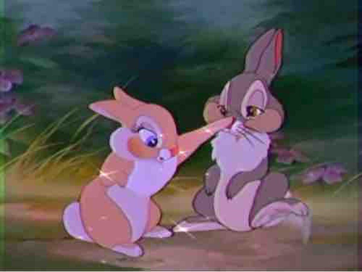 とんすけꪔ̤̮‪