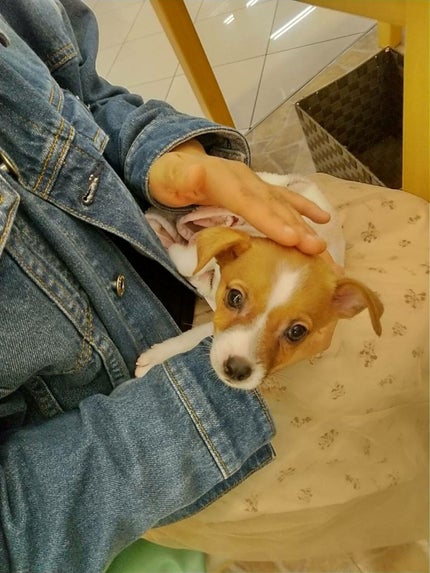 ゆん(윤)