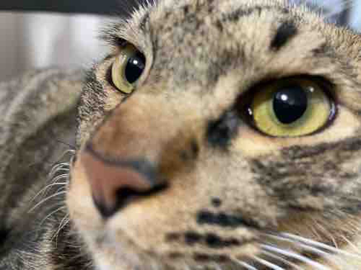 俺は痩せるんﾀﾞｯ！！！