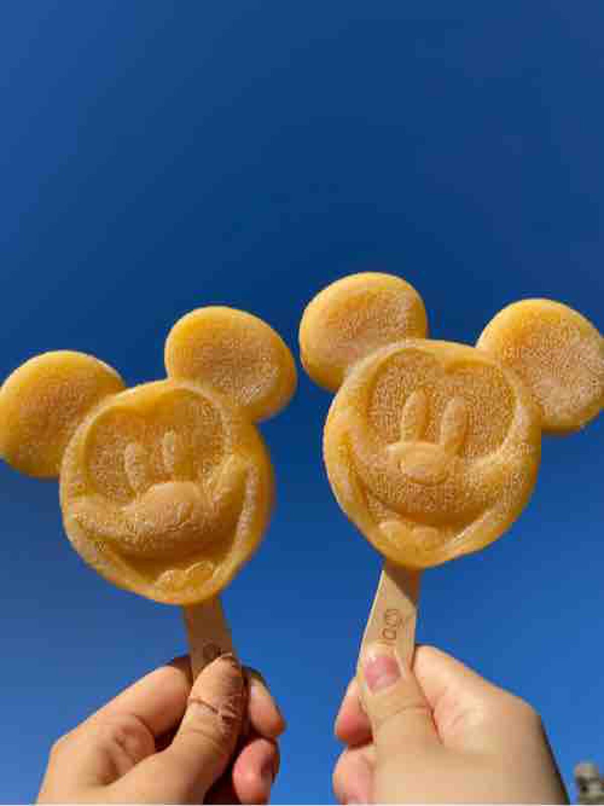 uta🐝  ͗ ͗〰︎︎💛