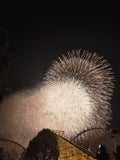にゃーにゃ