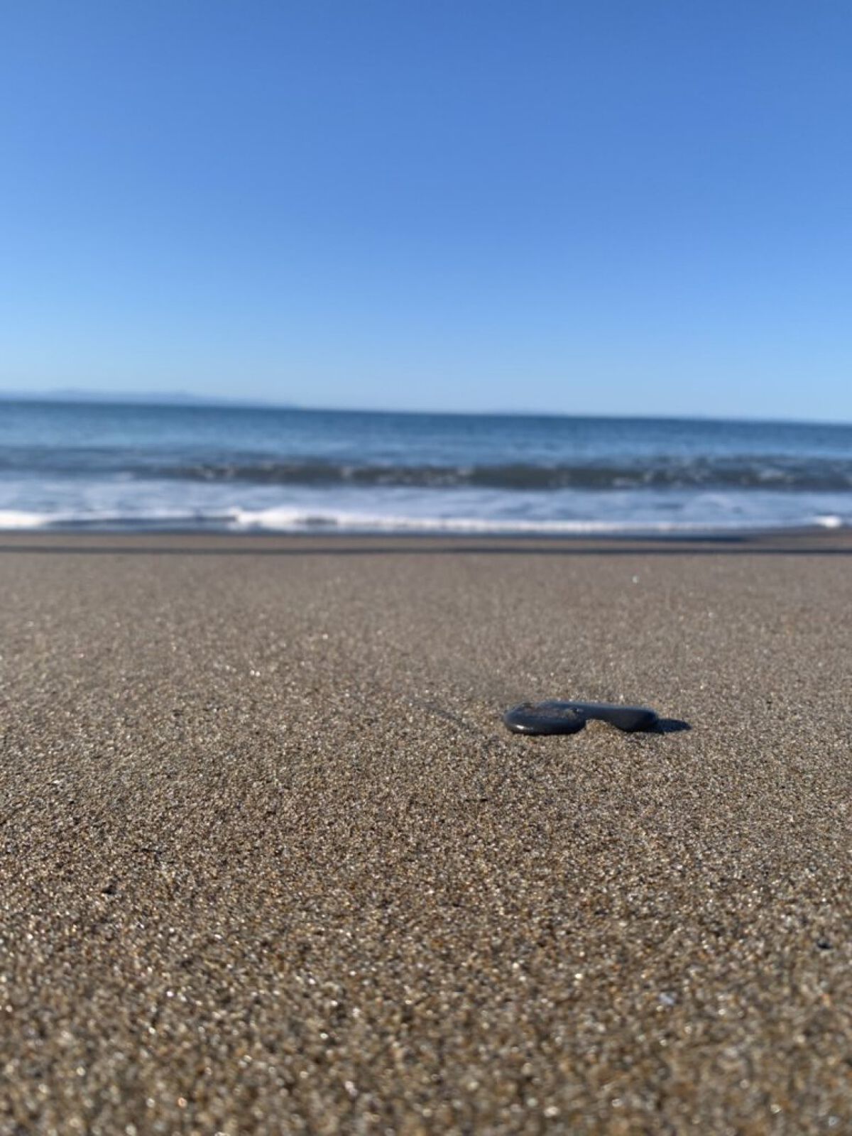 fantastic_beauty_yxeb