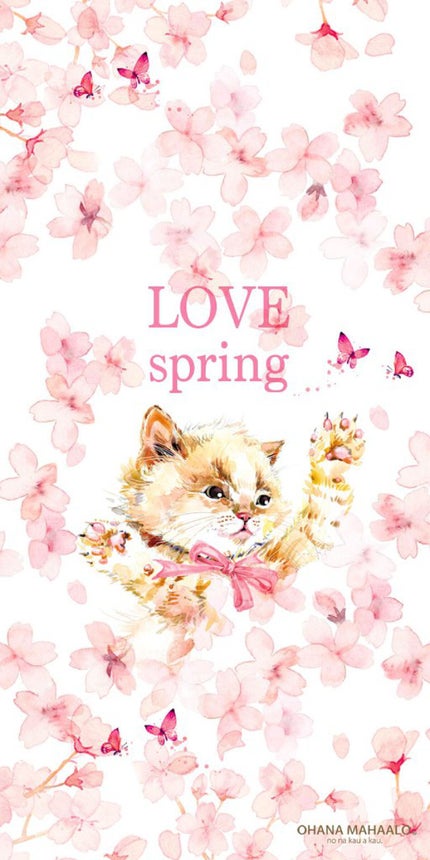 猫の召し使い(ФωФ)