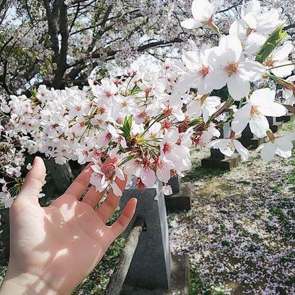 露色