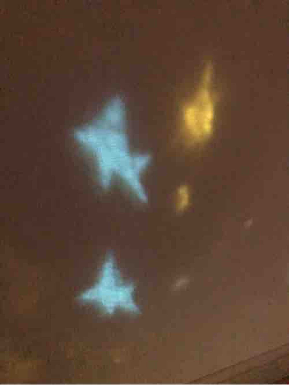 ネココ　フォロバします🐈