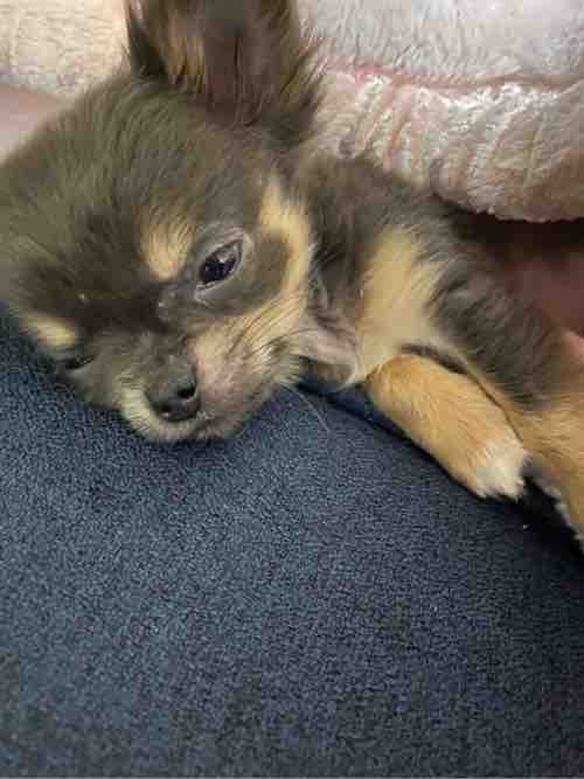 haruko⭐︎(フォロバ100)