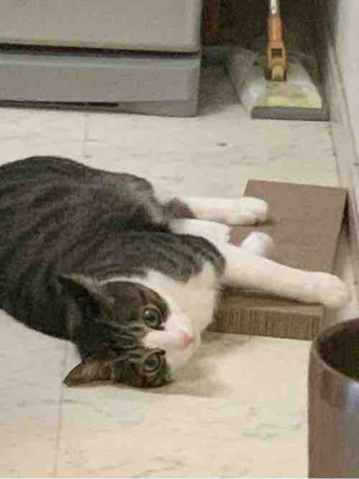 アイシャドウカンパニー