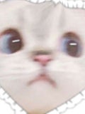 る な