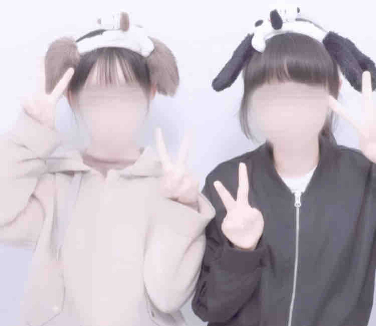 かりん   フォロバ