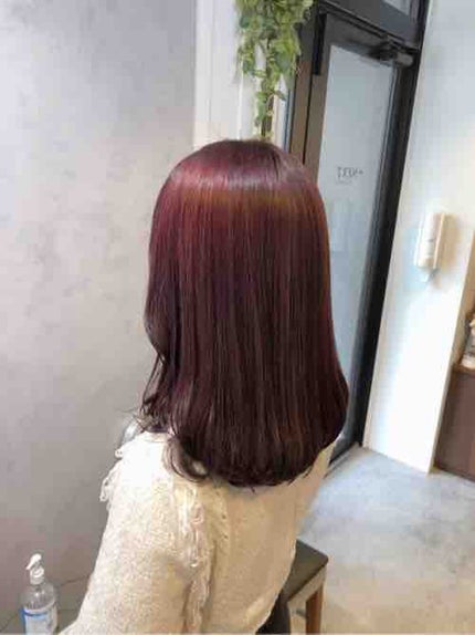 ꒰ঌᐢ.ˬ.ᐢ໒꒱