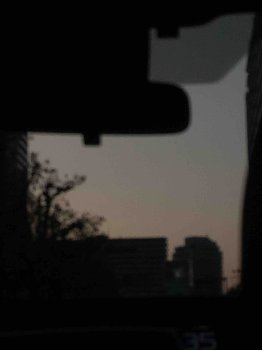 お茶の味噌漬け