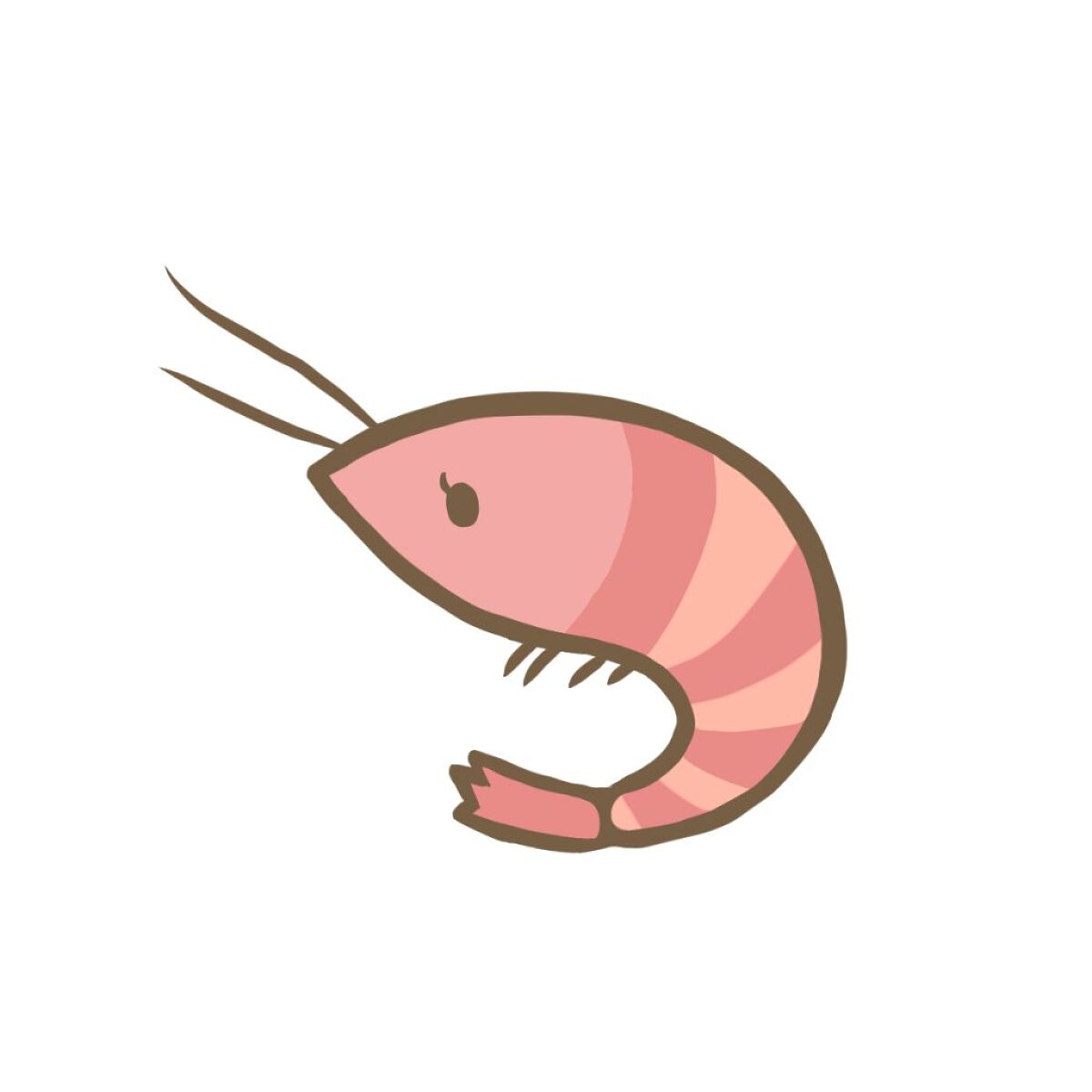 🦐えびちゃん１０号🦐