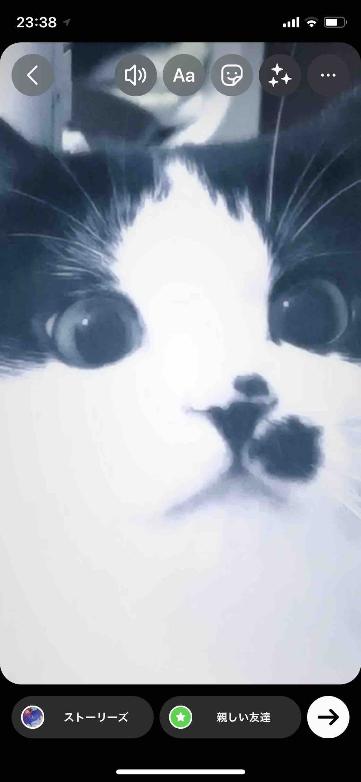 mow- ̗̀⏰𓈒 𓂂𓏸儚_