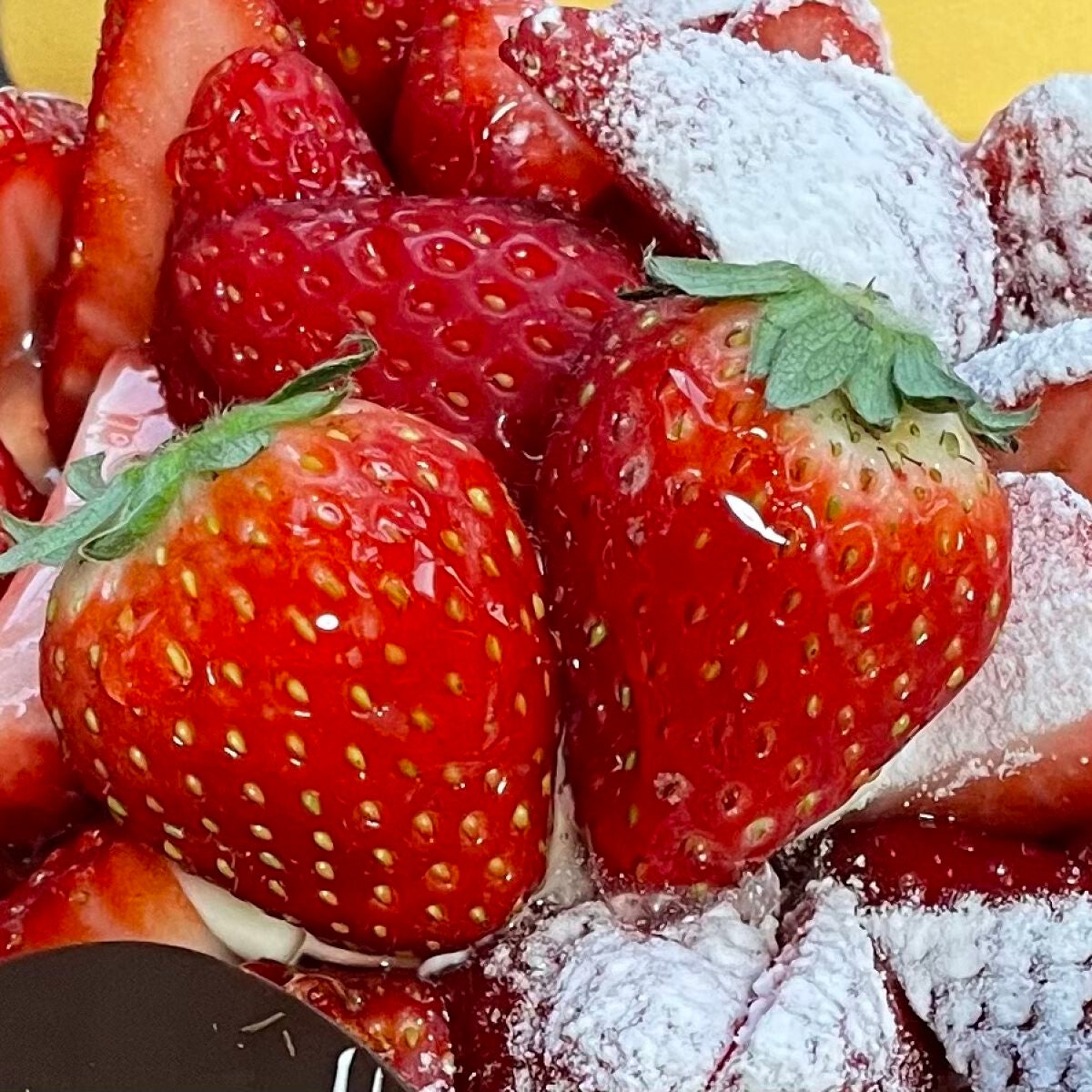 ãã¡ãðããã©ãã100