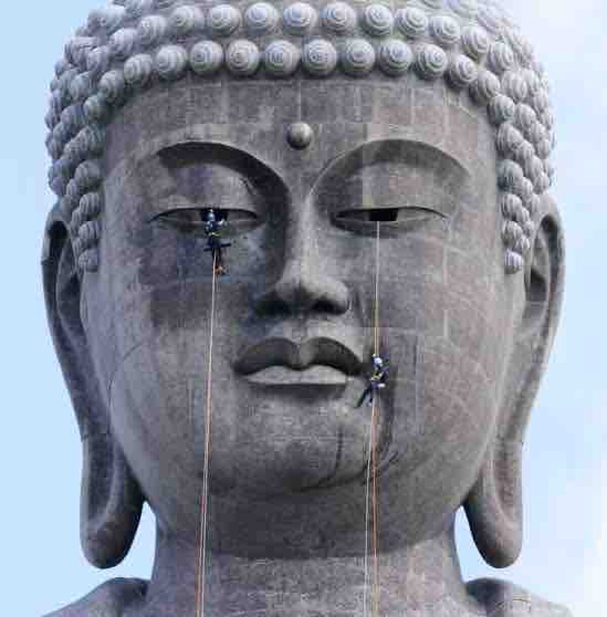 におひ👃フォロバ