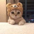 hana