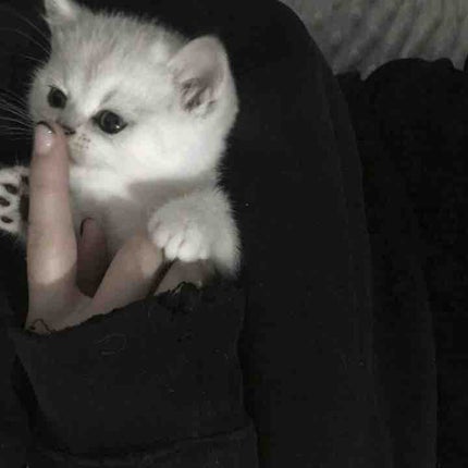 ãã
âªð®âªâªâ€ïžâ¬ Í