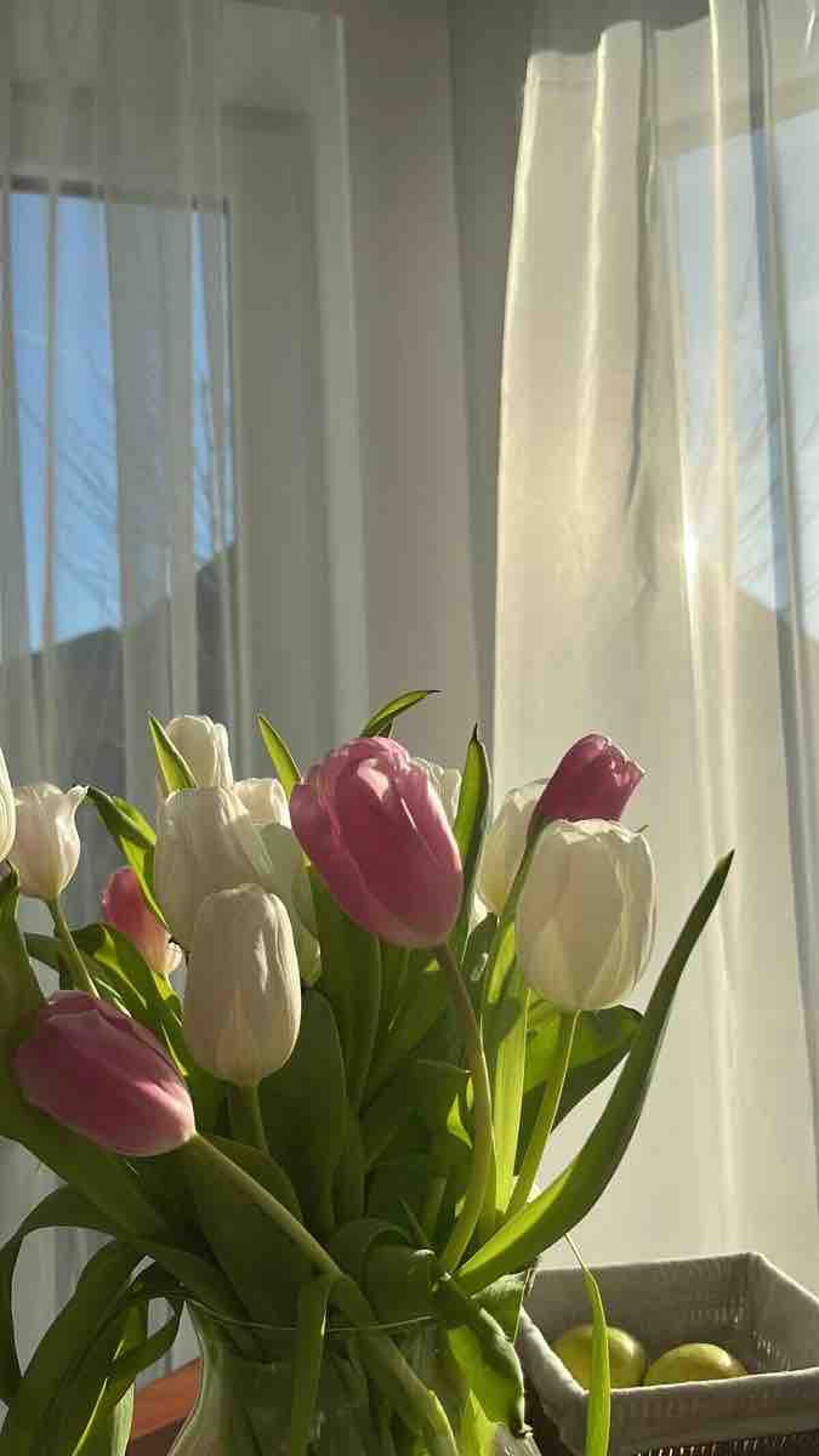 ゆゆたそ🌷ふぉろば