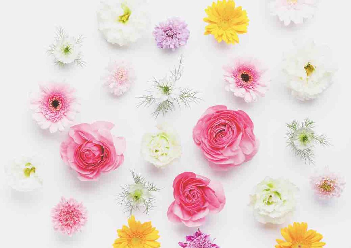 リリララ ✴︎フォロバ100%