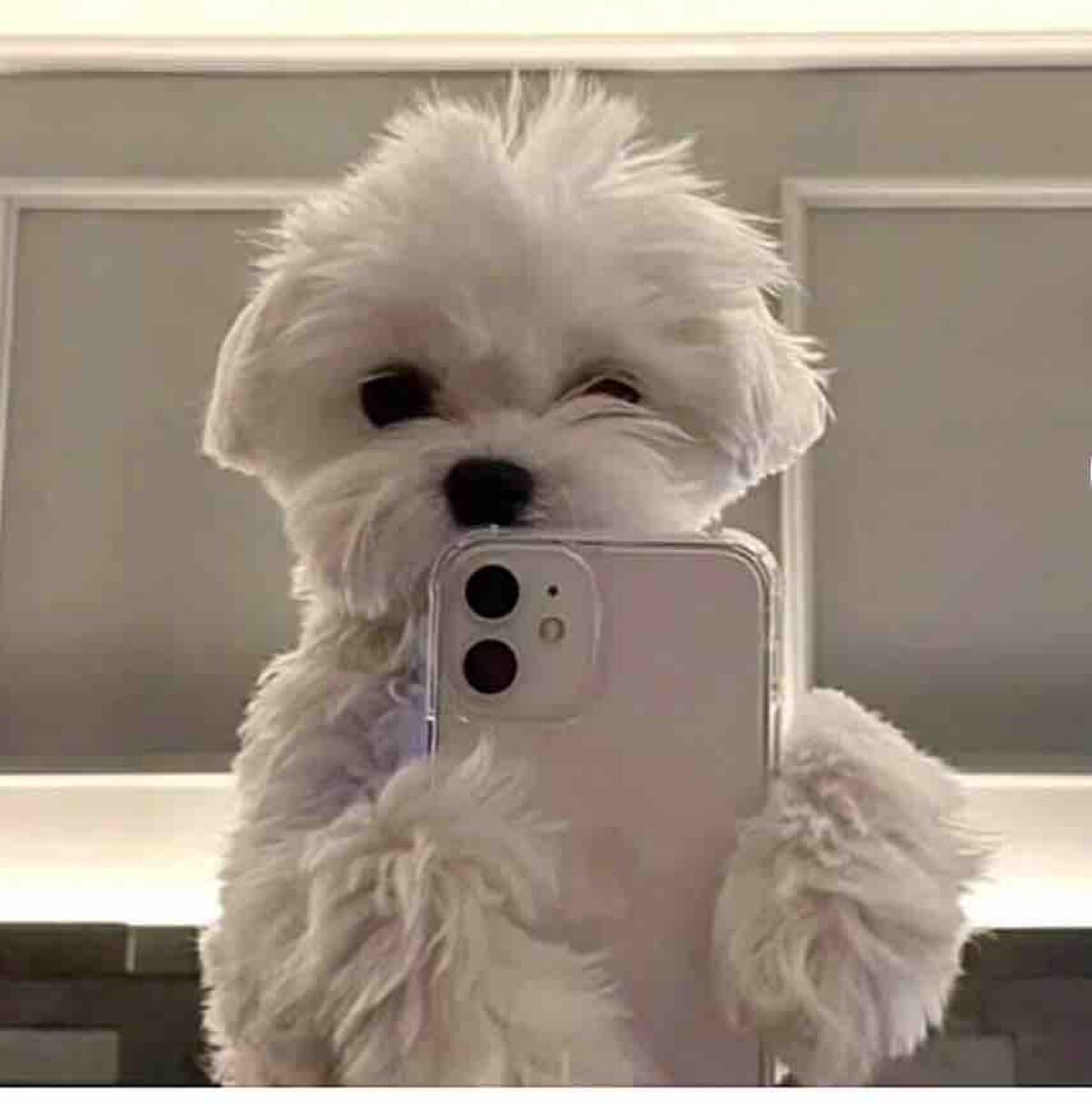 もも(フォロー返します！)