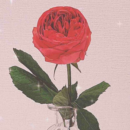 YURI*元美容部員|フォロバ