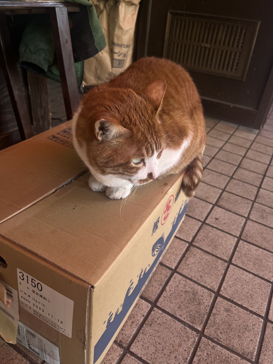 ゆのちゃんまん。