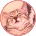 mao