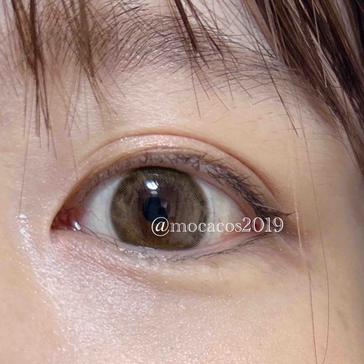 𝕞𝕠𝕔𝕒🌿投稿ある方フォロバ