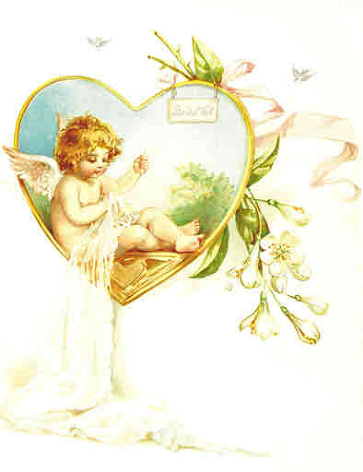 𝓕.. ♡.°フォロバ100ˎˊ˗