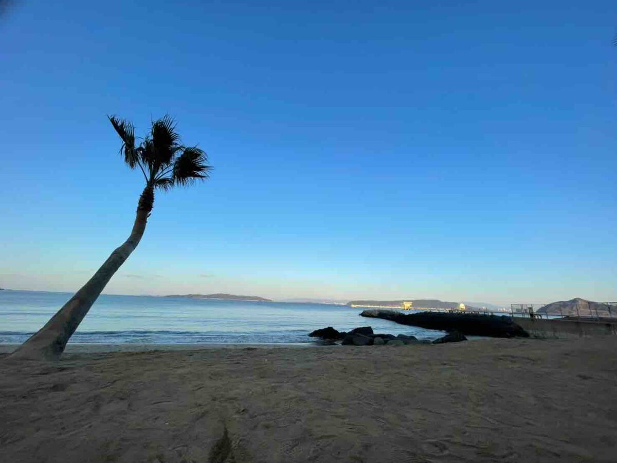 Mina💙フォロバ100