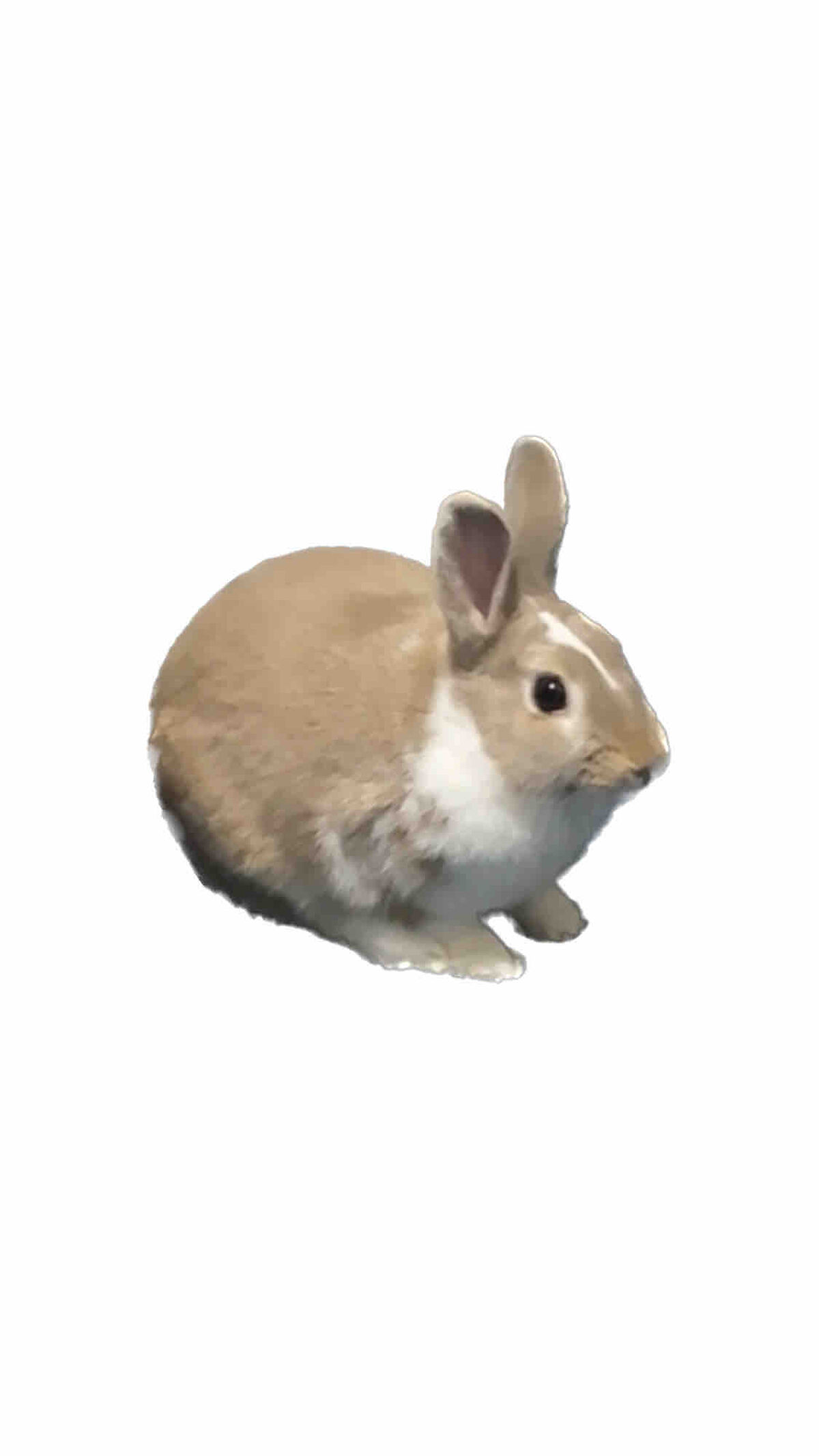 ‎⚪︎ わがはい ⚪︎