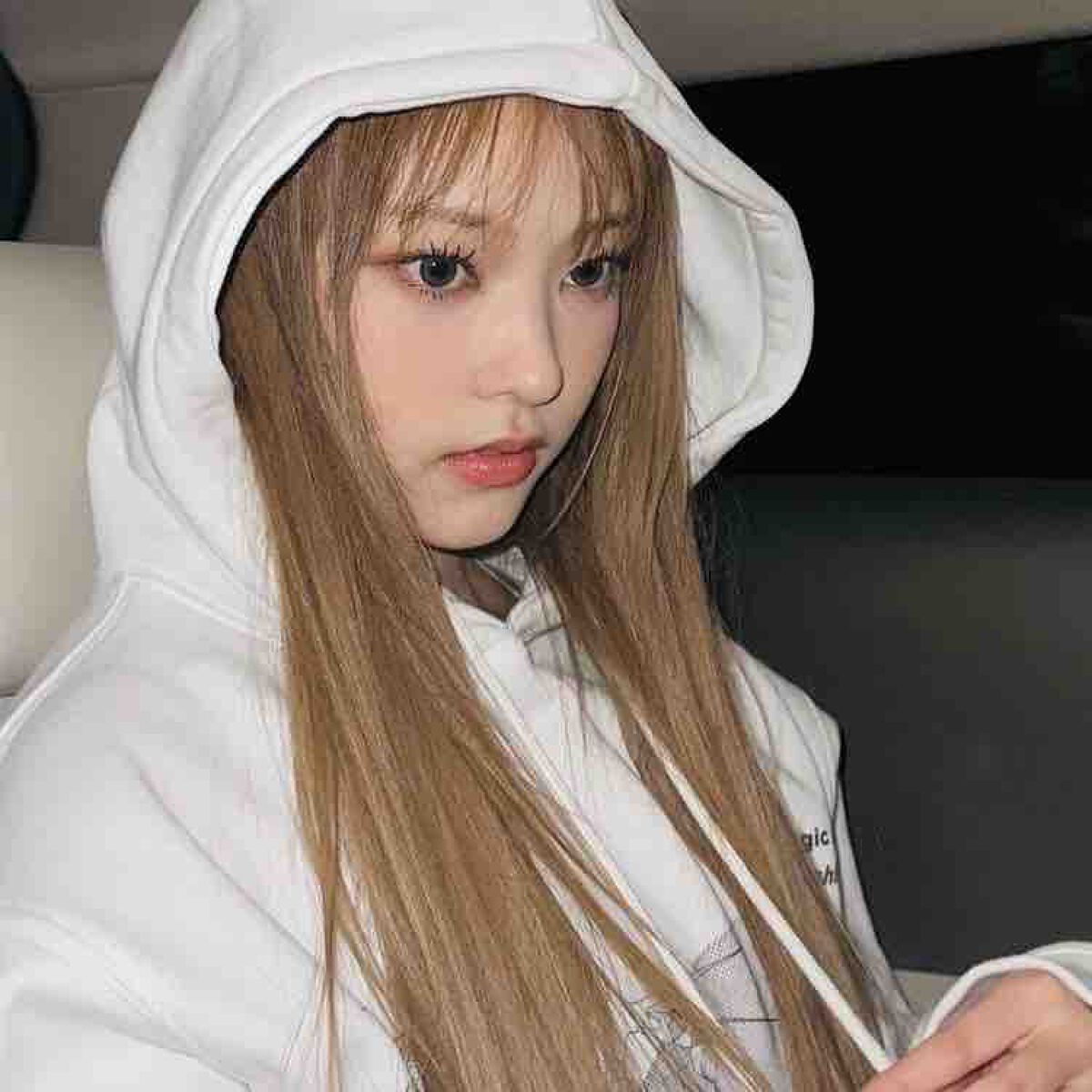 へりんのかいぬし🐱