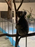 猫背マン