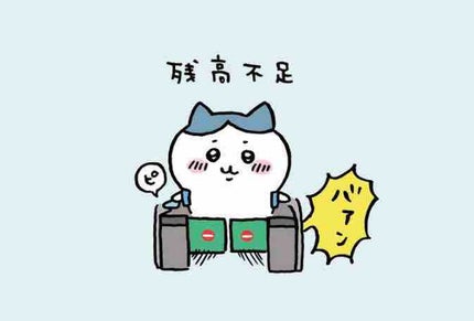 いぬぴ