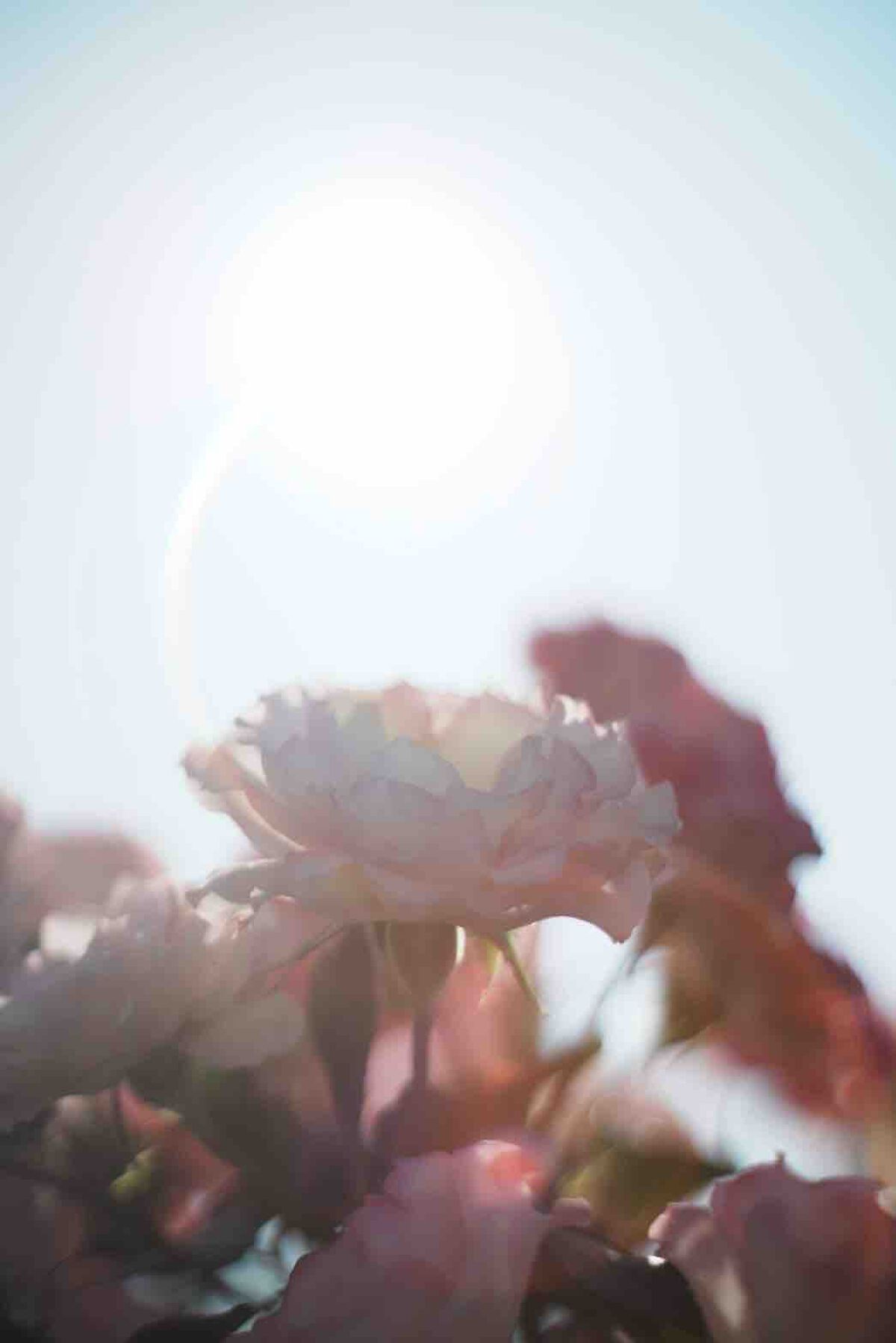 あーやん@フォロバ