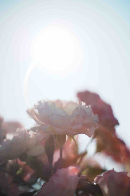 あーやん@フォロバ