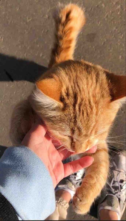 のりのり子