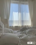 こ は る