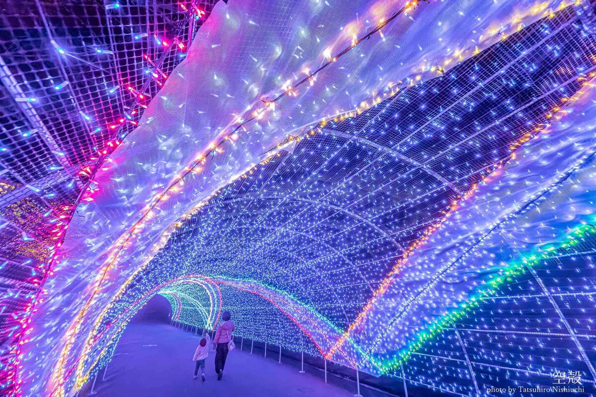 インディゴ地平線